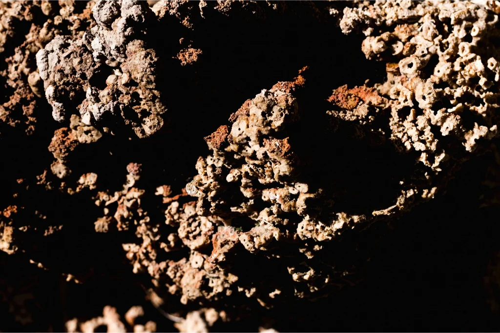 Research and Development